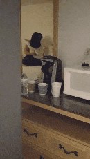 GIF_03.gif