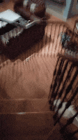 GIF_02.gif